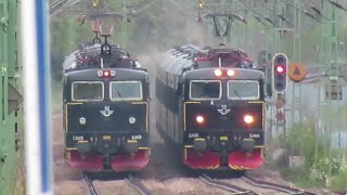 Sweden SJ Class Rc6 electric locomotives seen on local and express services at Knivsta station [upl. by Acirrehs]