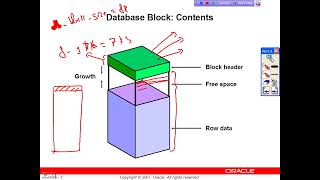 Managing Oracle Storage StructuresTablespaceDatafileExtents Segments Data Blocks [upl. by Anedal]