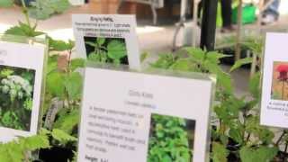 Asheville Herb Festival [upl. by Namajneb]