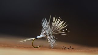 Fly tying a Cripple Peccary dry fly with Fabien Moulin [upl. by Kira]