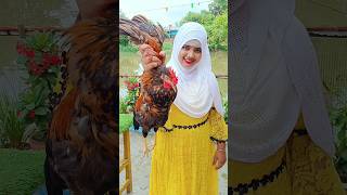 Muslim style desi chicken recipe🍗🍗 trending chicken recipe 🐔🐔 [upl. by Ahsiemat]