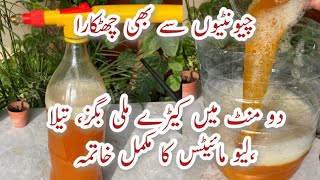 Cheap Organic Liquid Pesticide for Plants  Podoun k Keere Mare  Protect Plants from Insects [upl. by Stolzer]