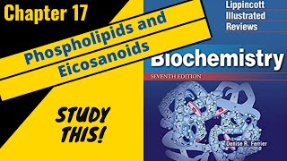 Lippincotts Biochemistry Review Chapter 17 Phospholipids and Eicosanoids  Study This [upl. by Issy223]