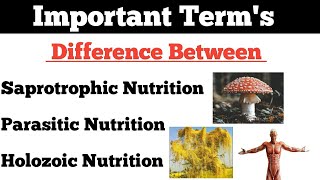 Nutrition Saprotrophic Nutrition  Parasitic Nutrition  Holozoic Nutrition  By Dadhich Sir [upl. by Will837]