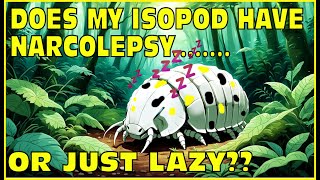 Does My Isopod Have Narcolepsy A Boring Video [upl. by Zinn]