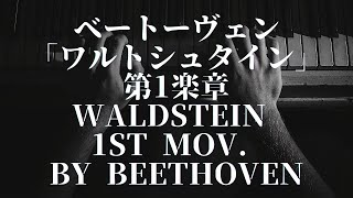 Piano sonata No21 Waldstein 1st mov by Beethoven [upl. by Evanthe]