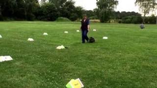 Rally Obedience Training 4  gemütlicher SommerParcours  Hundekanal [upl. by Torrell]