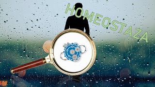 Homeostaza  Homeo co [upl. by Ellerrehs]