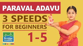 Paraval Adavu 1 to 5 in 3 speeds for Beginners  Bharatanatyam Basics Adavus  Bridge Academy [upl. by Trinity740]