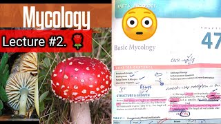 Basic mycology 🛑 LECTURE 2 Chap 47 Difference between fungi and bacteria hyphaeyt Lab diagnosis [upl. by Enovahs]