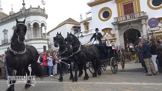 33 Sevilla Capital Mundial del Enganche 2017 Caballos y Carruajes [upl. by Gutow]