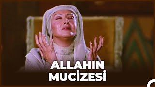 Züleyhanın Güzelleşme Mucizesi  Hz Yusuf 39 Bölüm [upl. by Akehsal]