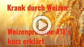 Krank durch Weizen  Symptome der Weizensensitivität  Weizenproteine ATIs kurz erklärt [upl. by Entroc901]