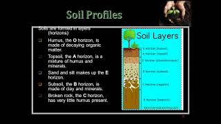 Forensic soil [upl. by Darbie898]