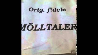 Die fidelen Mölltaler Appenzeller Lied [upl. by Asselim504]