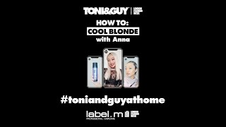 toniandguyathome – how to cool blonde with Anna ✨ [upl. by Jolene877]