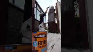 Best Wood Stain You Can Use For Exterior Wood painting top [upl. by Lhok]