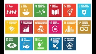 The SDGs issues and challenges [upl. by Nnylanna436]