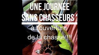 COMMENT SE BALADER SANS CHASSEURS le jour de louverture de la chasse [upl. by Idnyc]