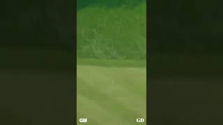 That Tiger Woods ball flight 🤤 [upl. by Murial22]