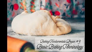 BASIC BAKING TERMINOLOGY  folding proofing ferment scoring and more [upl. by Wang]