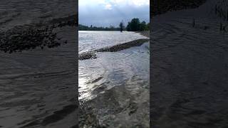 Strandbad Mannheim Hochwasser fließt ab [upl. by Ahkeber]