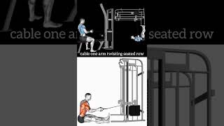 Cable one arm twisting seated row ll body building workout ll fitness center ll exercise [upl. by Yeliak491]