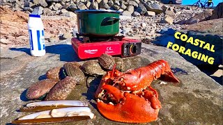 COASTAL FORAGING  Big Lobster  Razor Clams Abalone  Crabs amp Flatfish  Beach COOKING [upl. by Ahsratan]