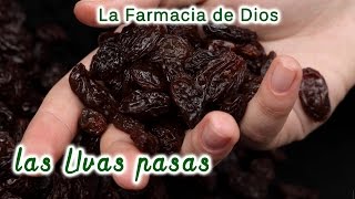 Las uvas pasas propiedades y beneficios para nuestra salud [upl. by Isle219]