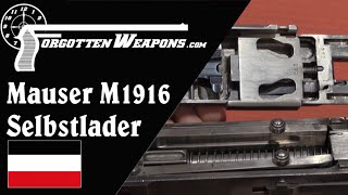 Mauser Selbstlader M1916 Infantry Version [upl. by Nahn]