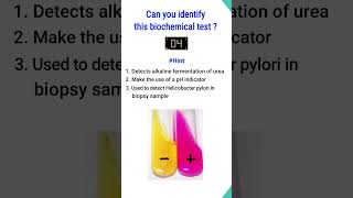 Quiz5  Biochemical test for identification of bacteria shorts microbiology [upl. by Lasko]