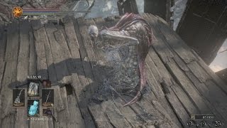 DARK SOULS 3 THE RINGED CITY  2 吹き溜まり② 最初～篝火「土の塔の残骸」～ボス・デーモンの王子戦前【8週目NG7】 [upl. by Sou111]