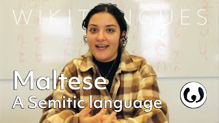 The Maltese language casually spoken  Elena speaking Maltese  Wikitongues [upl. by Blackington]