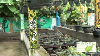 MADE Growing Systems Aquaponics Philippines September 2012 Update [upl. by Atsirhc]