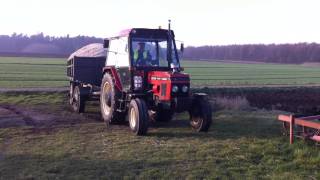 Zetor 7711 turbo  2 przyczepy wysłodków czII [upl. by Pedroza98]