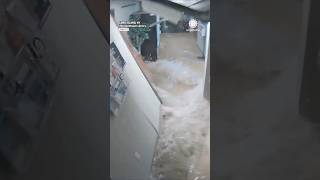 Flash Flood Wave of Water Destroys Local Library [upl. by Aniraz185]