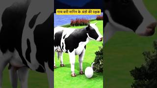 गाय बनी नागिन के अंडों की रक्षक  animal stories  cow story  shorts moralstories [upl. by Matty588]