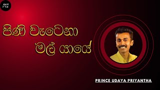 පිණි වැටෙනා මල්යායේ  Pini Watena Mal Yaye  Prince Udaya Priyantha  sinhalasongs [upl. by Geof]