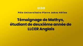 Témoignage de Mathys étudiant de deuxième année de LLCER Anglais UBO Quimper [upl. by Annot118]