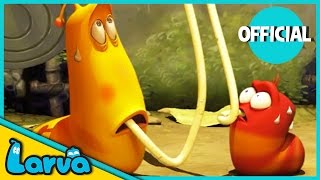 LARVA Funny Animation  LARVA AND THE SPAGHETTI  Cartoons  Comics  LARVA Official [upl. by Reich]