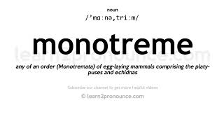 Pronunciation of Monotreme  Definition of Monotreme [upl. by Birgit]