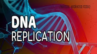 DNA Replication  Helicase  leading strand  Lagging strand  Okazaki fragments [upl. by Holcman]