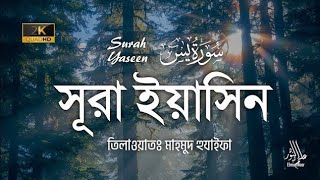 সূরা ইয়াসিন  মাহমুদ হুযাইফা  Quran Tilawat  Surah Yaseen  Mahmud Huzaifa  Elmun Noor [upl. by Kennett793]