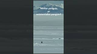 Nihilist Penguin or Existentialist Penguin filmtok cinematography movie filmmaking [upl. by Arec49]