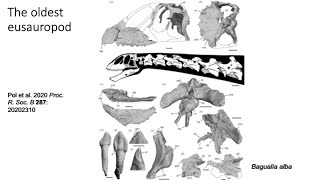 Lecture 21 Sauropodomorpha Thunder Lizards part II [upl. by Noli]