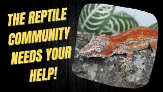 The Reptile Hobby Needs Your Help [upl. by Wellesley]