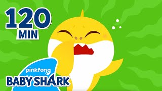 Baby Sharks Got a Booger in Nose  Compilation  Healthy Habits and Science  Baby Shark Official [upl. by Barlow]