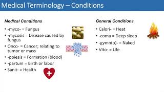 Medical Terminology  The Basics  Lesson 4 [upl. by Bores]