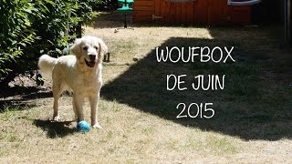 Je découvre la Woufbox de juin [upl. by Parrish590]