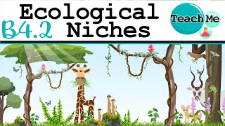 B42  Ecological Niches  IB Biology SLHL [upl. by Akeryt65]